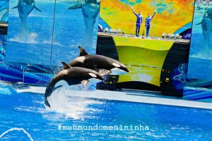 b2 camera profissional