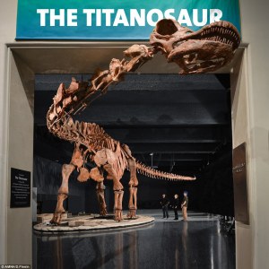 titanousauro