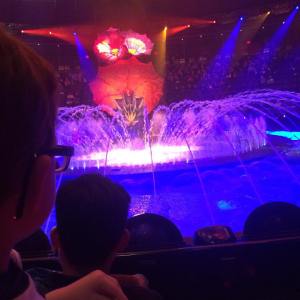 12493797_10201215456546329_8649436197708911870_o