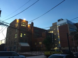 11951613_10153610309524570_9095075109327819144_o